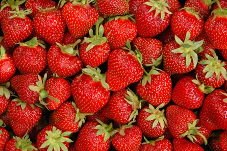 How to Make Fruit Sauce Image